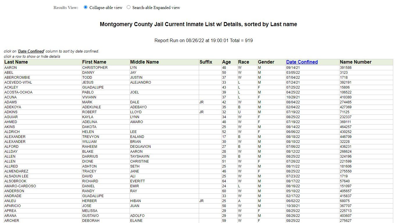 Jail Roster